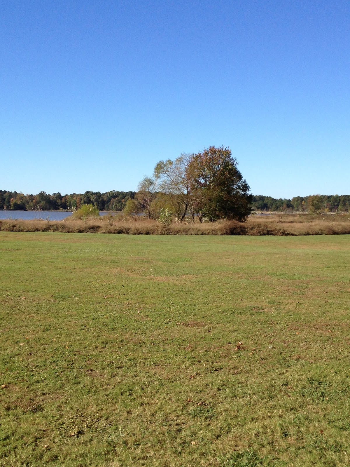 Trailbirder Wake County Outing 22 Lake Crabtree County Park