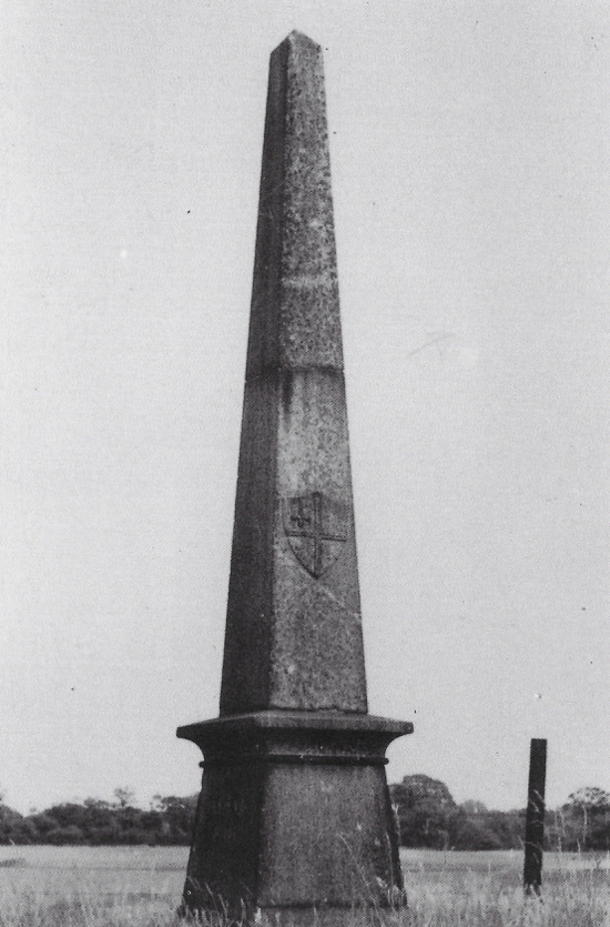 Photograph of Coal duty marker on the railway embankment at Hawkshead erected 1851