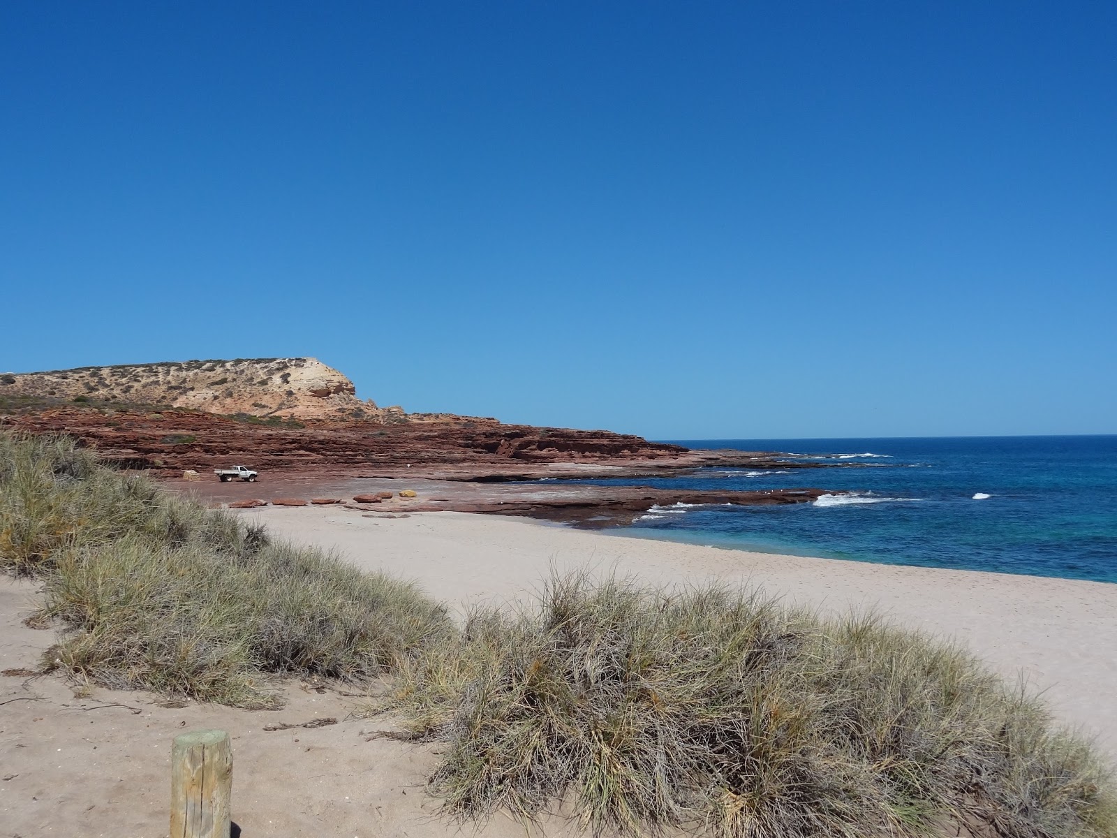 Veganise This! Kalbarri, Coral Bay and Shark Bay