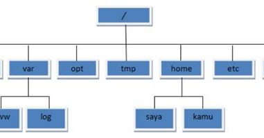 File dan Direktori pada Sistem Linux - wasito.web.id