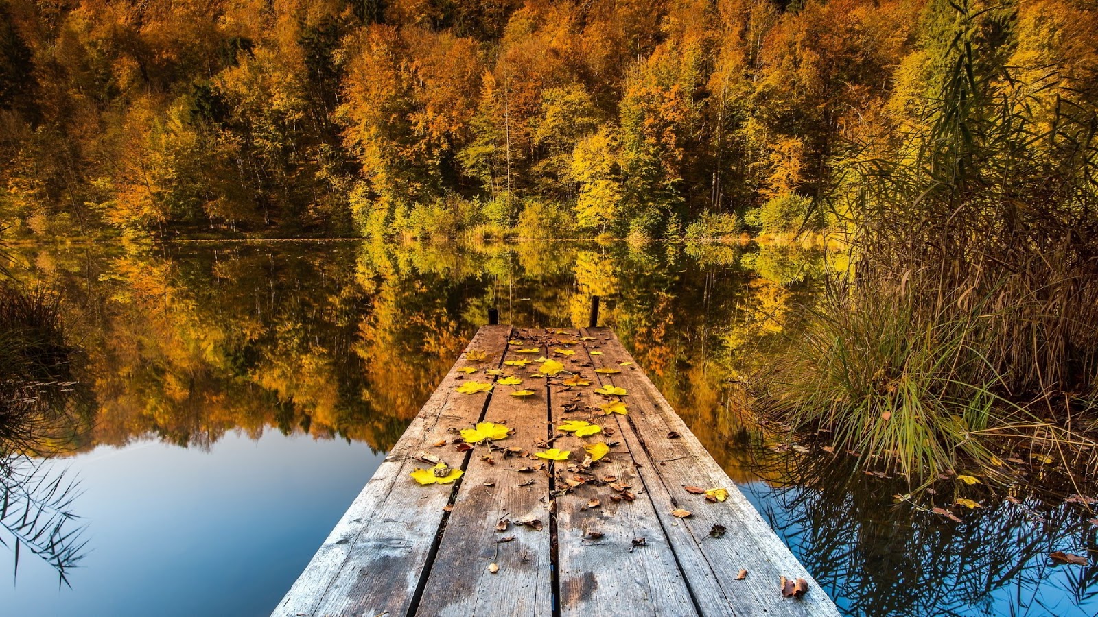 Autumn Lake - Mystery Wallpaper