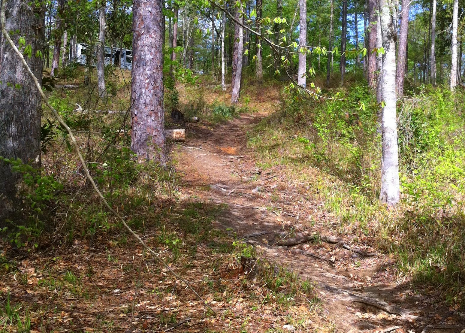 The Gypsy Boho Freedom Express KISATCHIE NATIONAL FOREST KINCAID