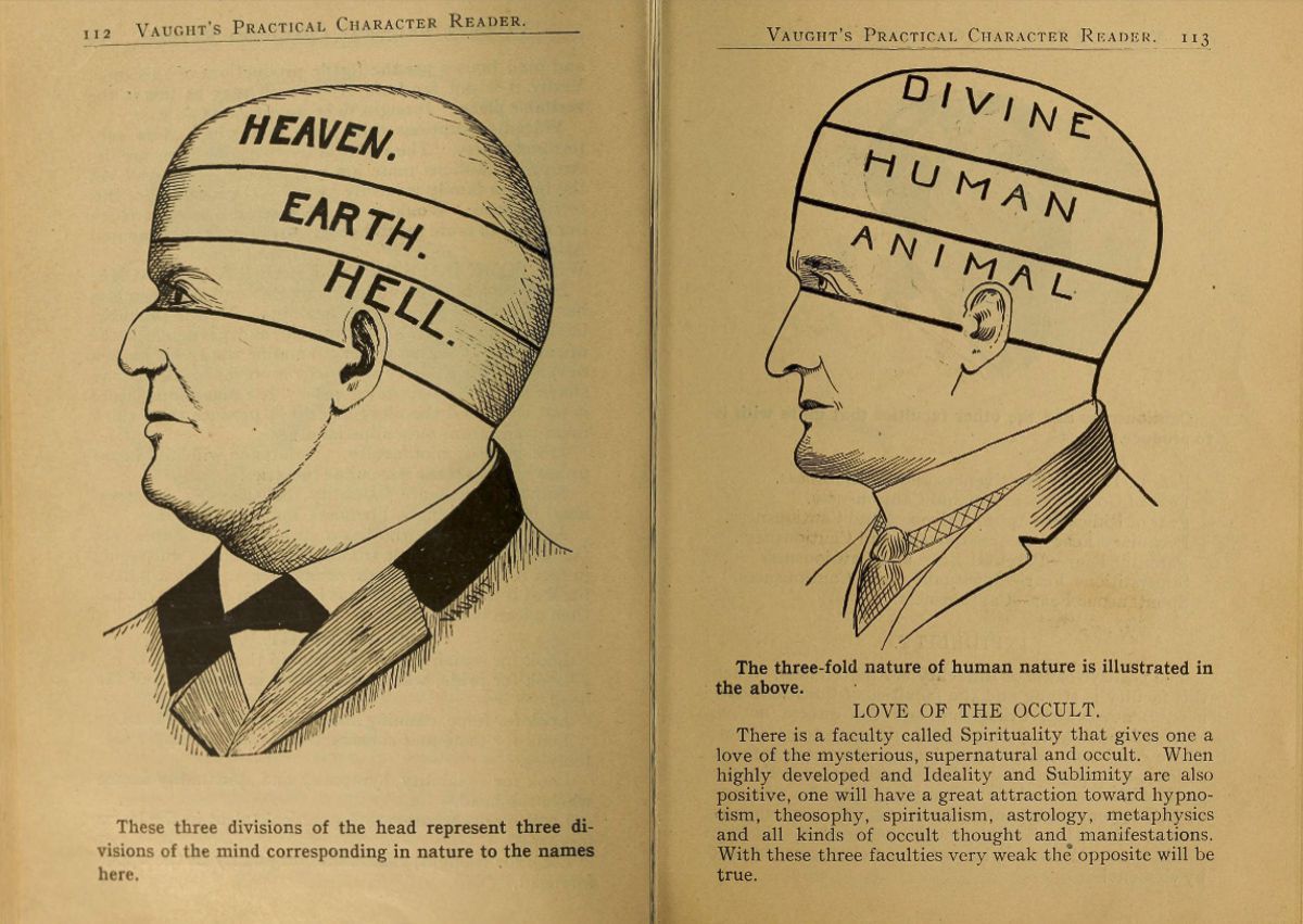 Pages from a weird phrenology book that claimed to ascertain a person s character by the shape of his head and other facial features  1902 - 6