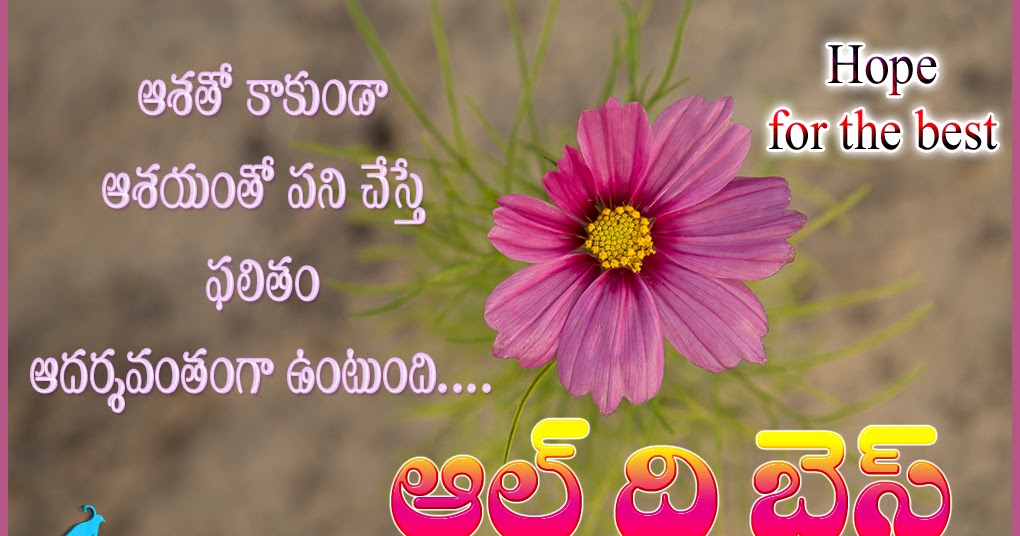 All Top Quotes Telugu Quotes Tamil Quotes English Quotes Enchanting All Quotes Telugu All Top Quotes Telugu Quotes Tamil Quotes English Quotes Enchanting All Quotes Telugu