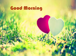 Good - Morning Good - Morning