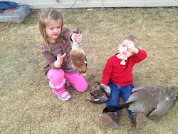 Scooter's Journey: Blake's New Kayserbetten bed