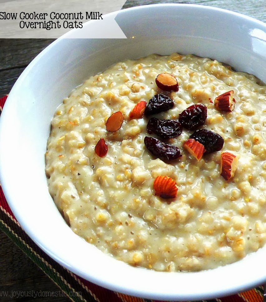 The Bestest Recipes Online: Slow Cooker Coconut Milk Overnight Oats