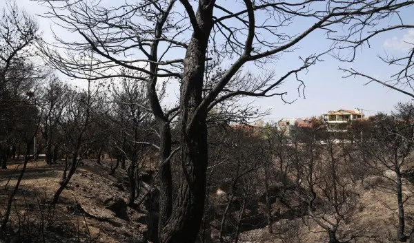Φωτιά στην Πάρνηθα: Άφησε πίσω της στάχτη - Από θαύμα δεν κάηκαν σπίτια (ΦΩΤΟ)