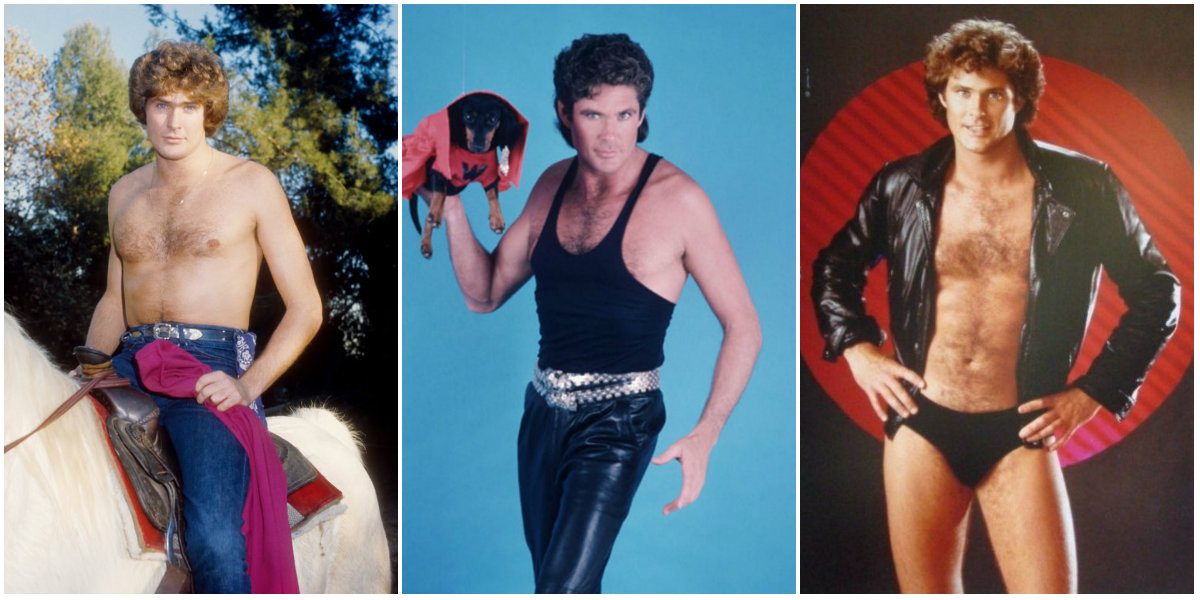 David Hasselhoff is an American actor, singer, and producer