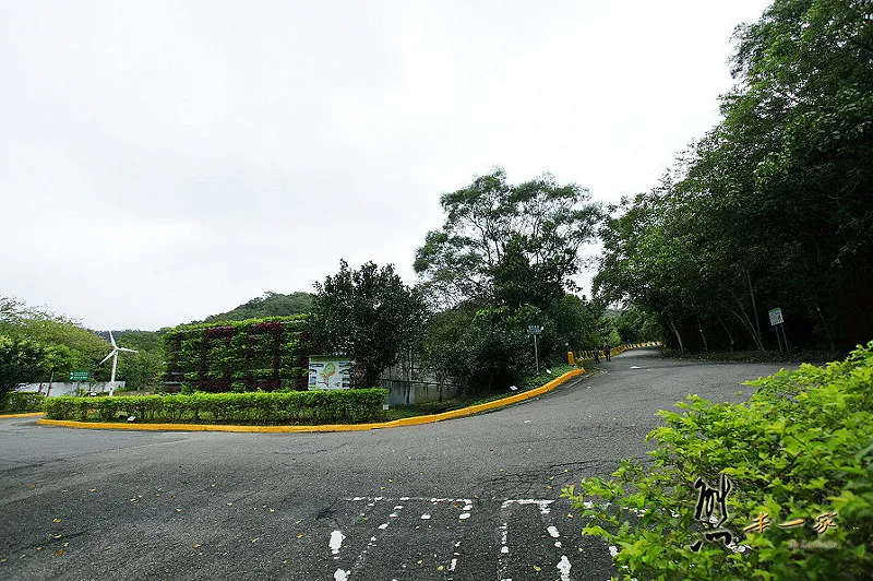 三峽碳中和樂園賞螢火蟲活動