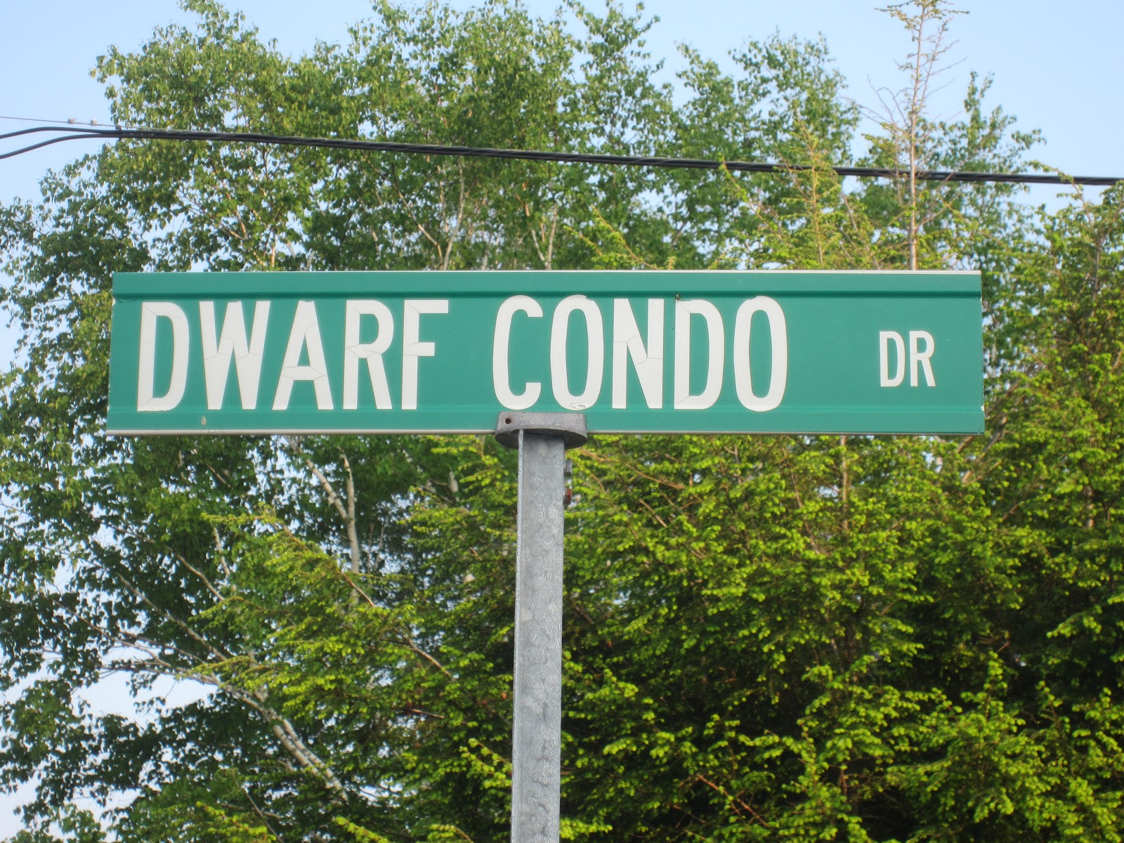 Tiny House Sightseeing in Woodstock, NH (Dwarf Condo