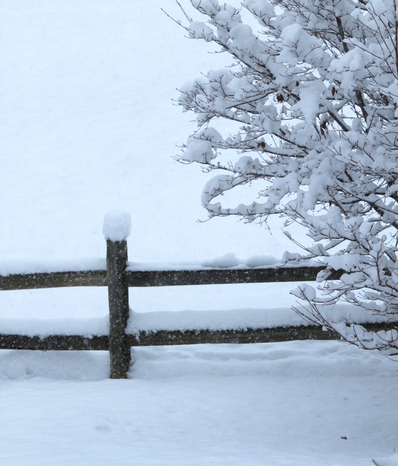 Kalamazoo Seasons Winter Events 2015 16 kalamazoo-seasons-winter-events-2015-16