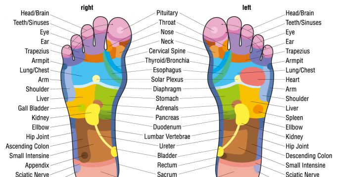 Reflexology Reflexology