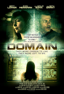 Domain Poster