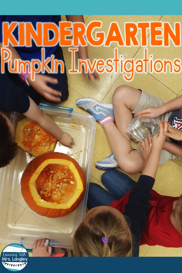 Pumpkin Dissection in the Classroom Learning with Mrs. Langley
