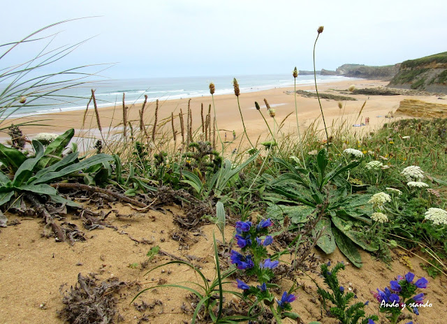 Playa de Canallave. Viajar a la Costa Quebrada. Qué ver en la Costa Quebrada