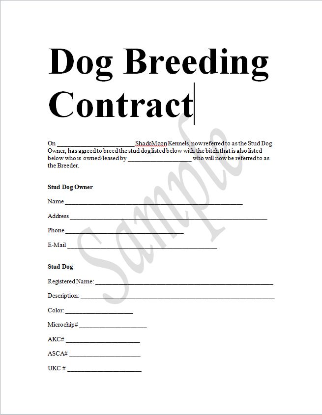 Sample Dog Breeding Contract In Word To Download Sample Contracts best-dog-breeding-contract-template-word-example-steemfriends