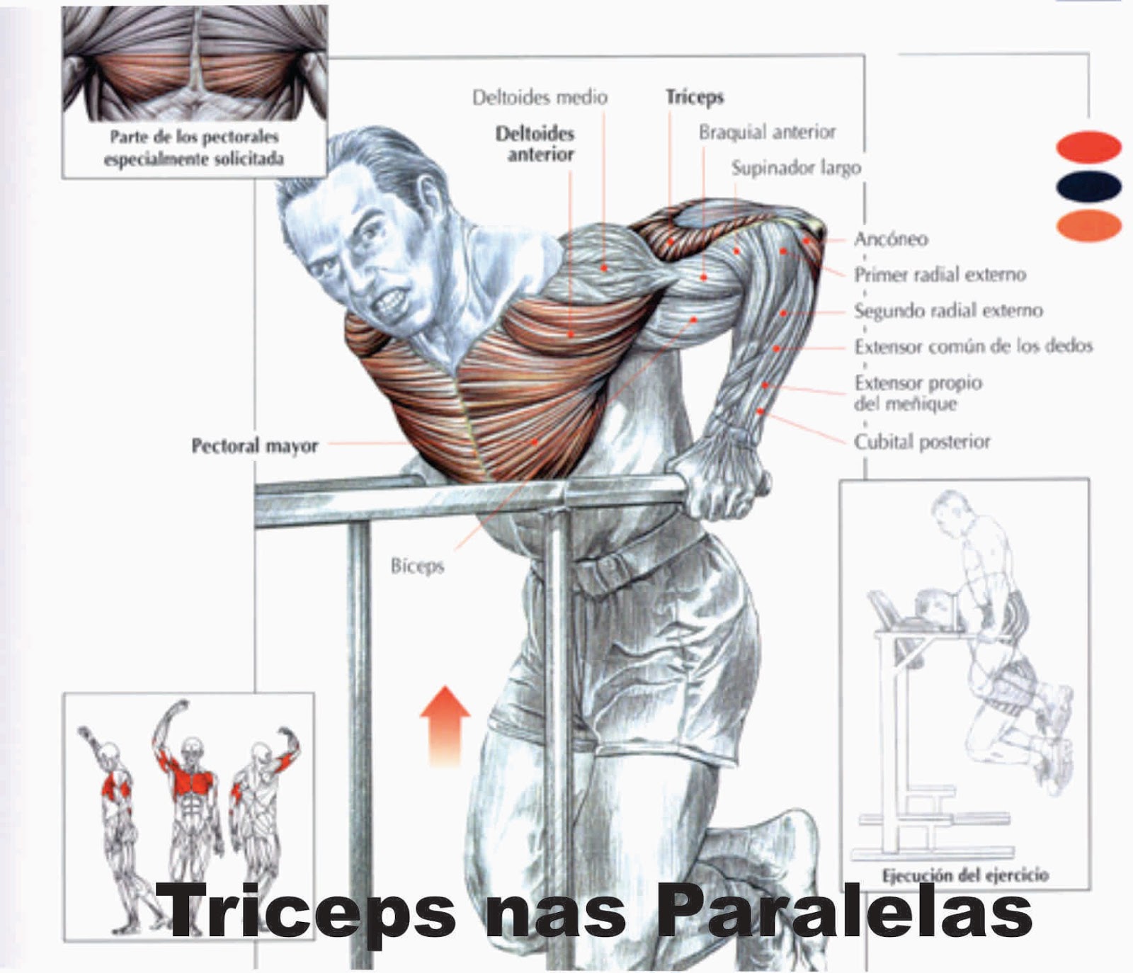 Exercícios para Manguito Rotador Dr Marcos Britto da Silva