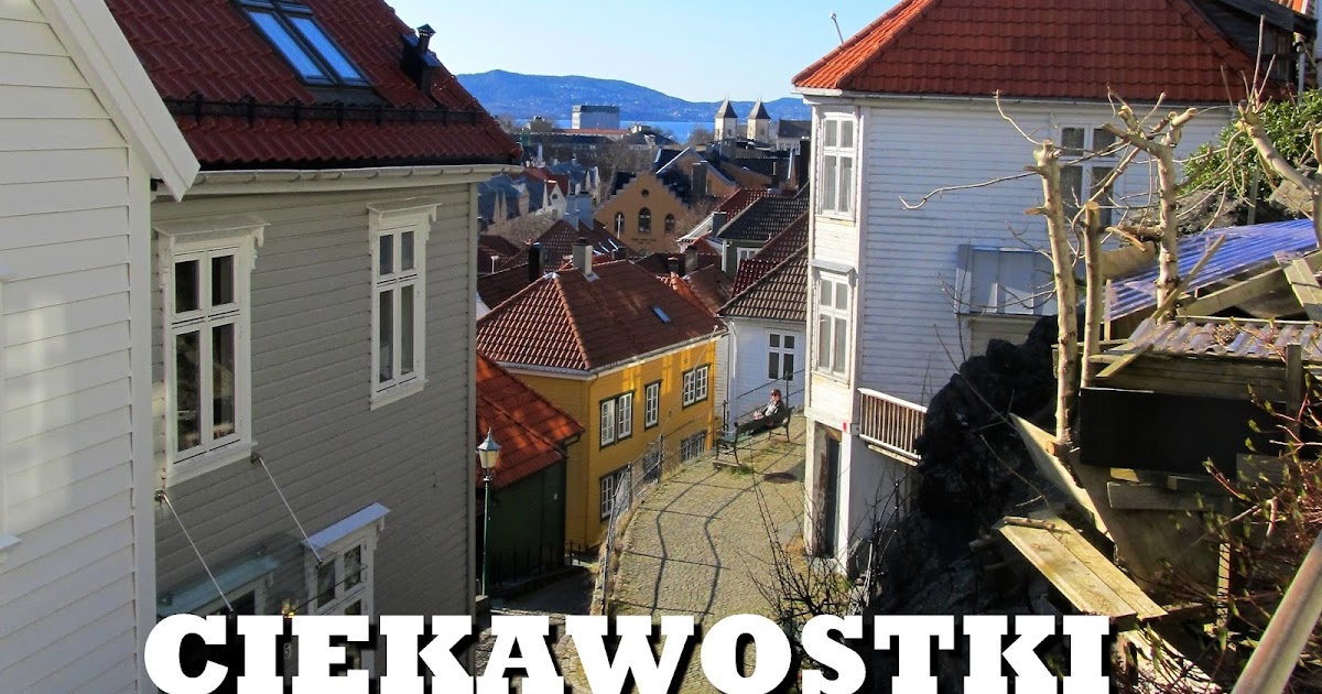 escortedate no geje w norwegii escortedate no geje w norwegii