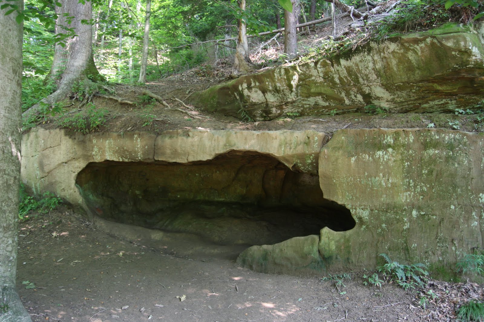Cary Comments More from Turkey Run State Park