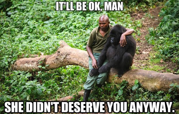 30 Funny animal captions - part 19 (30 pics), gorilla and its keeper, she didnt deserve you anyway caption