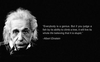 Albert Einstein Quotes