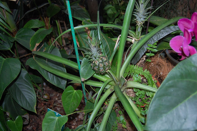 DSC_8733.JPG