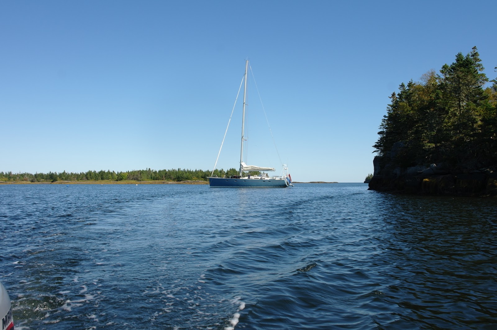 lion king op wereldreis Novo Scotia