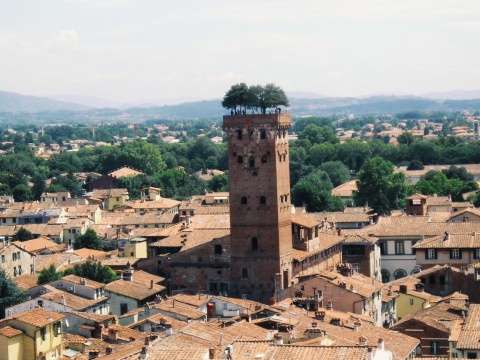 Guinigi tower Italy Guinigi tower Italy