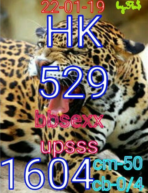 mainsgp.com