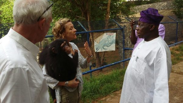 Olusegun Obasanjo donates Chimanzee CALLED PATIENCE TO ANIMAL CONSERVATION
