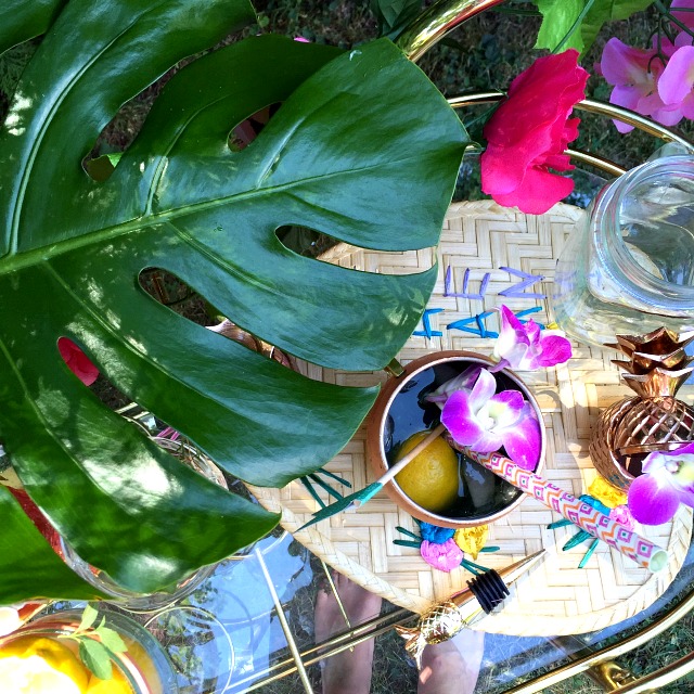 Summer Blogger Toronto Pool Party- Entertaining tips, flamingo floats, crudite platter, green juice popsicle Summer Blogger Toronto Pool Party- Entertaining tips, flamingo floats, crudite platter, green juice popsicle