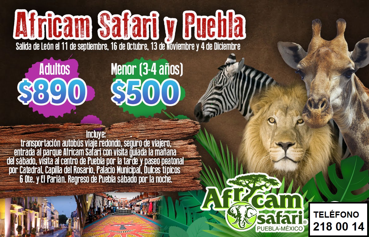 africam safari precios 2022 promociones
