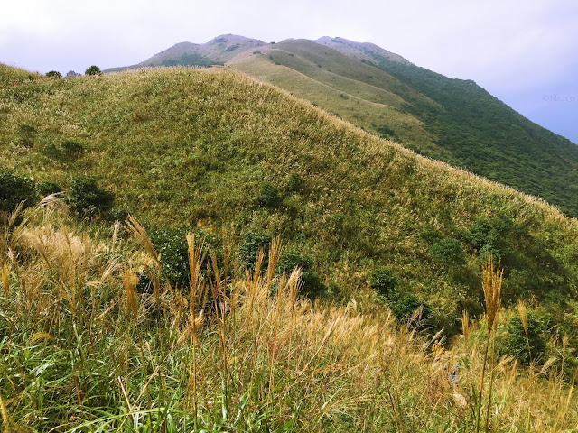 Lantau trail section 2 hills 