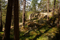 Norra Kvill nationalpark
