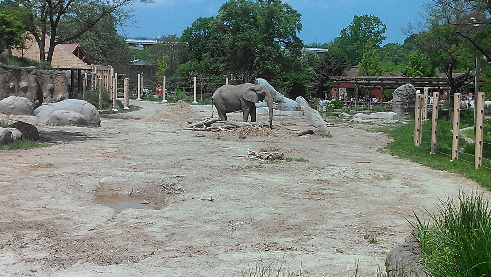 Ohio Travels Cleveland Zoo