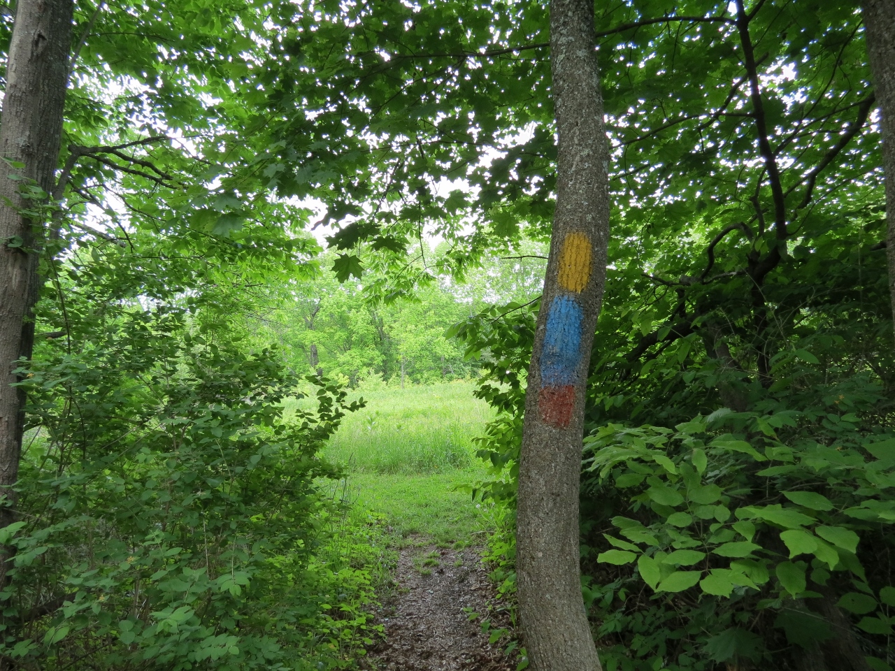 Gone Hikin' Woodbourne Forest and Wildlife Preserve, PA