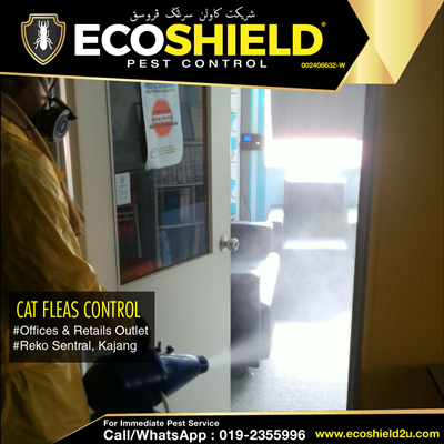 Eco Shield Pest Control Selangor