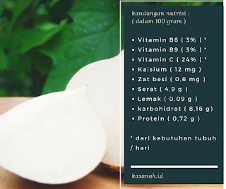 kandungan nutrisi bengkuang kandungan nutrisi bengkuang