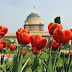 Udyanotsav | February 6, 2020 to March 10, 2020