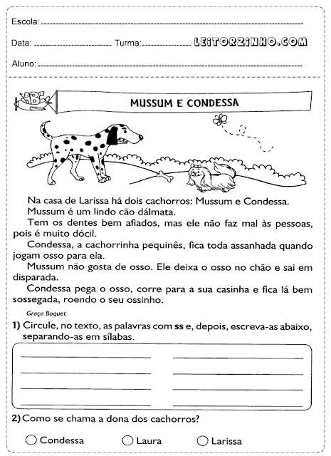 Circule, no texto, as palavras com ss e, depois, escreva-as, separando em sílabas
