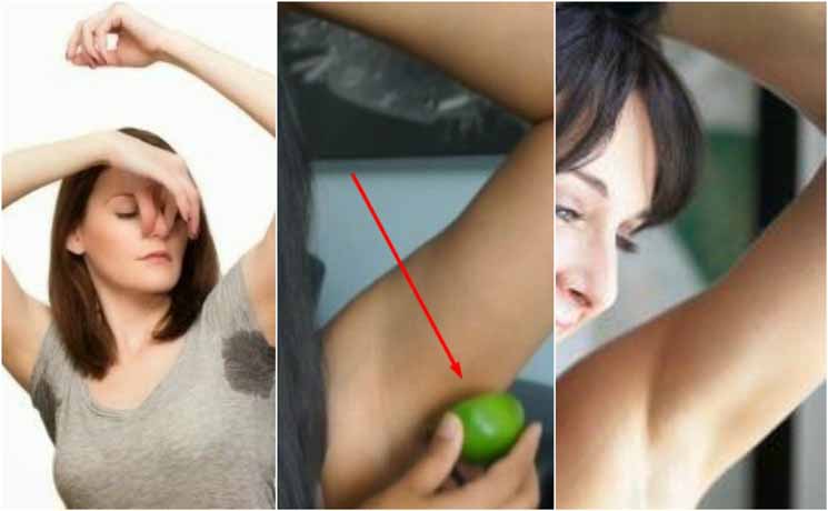 Apakah Malu & Tidak PD Ketiakmu Bau dan Hitam? INI DIA 19 Cara Alami Untuk Mengatasinya, no 7 Paling Gampang… Apakah Malu & Tidak PD Ketiakmu Bau dan Hitam? INI DIA 19 Cara Alami Untuk Mengatasinya, no 7 Paling Gampang…