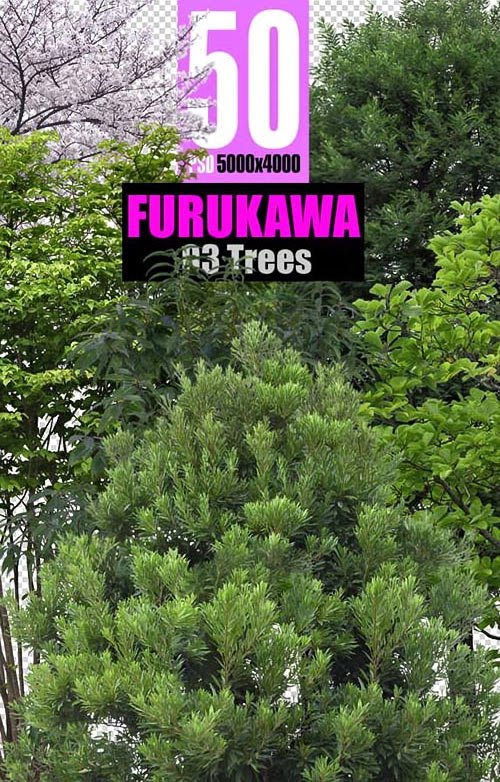 Furukawa%20Trees%20Collection-747538.jpg