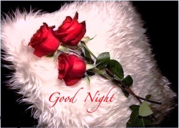 good night rose images