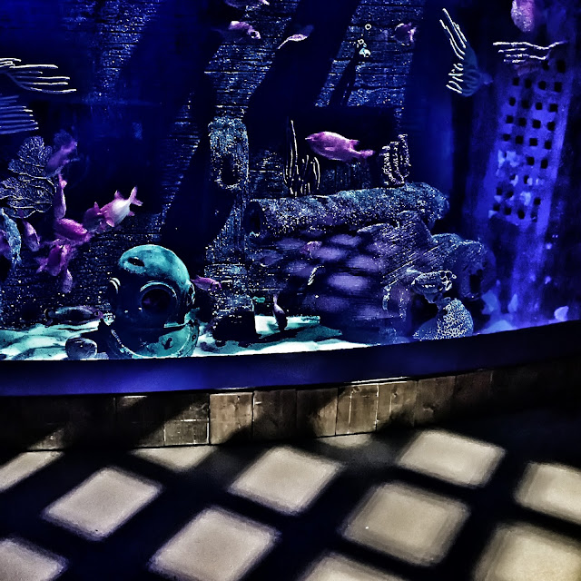 Sea Life Aquarium Sea Life Aquarium at Legoland. See more photos at www.growinguphui.com
