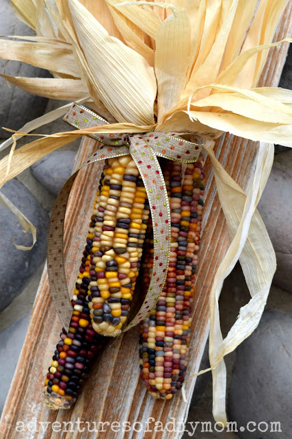 Indian Corn Decoration