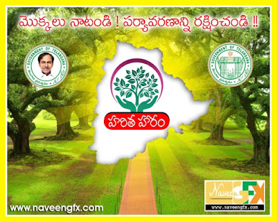 haritha haram tree planting programme by telangana govt06