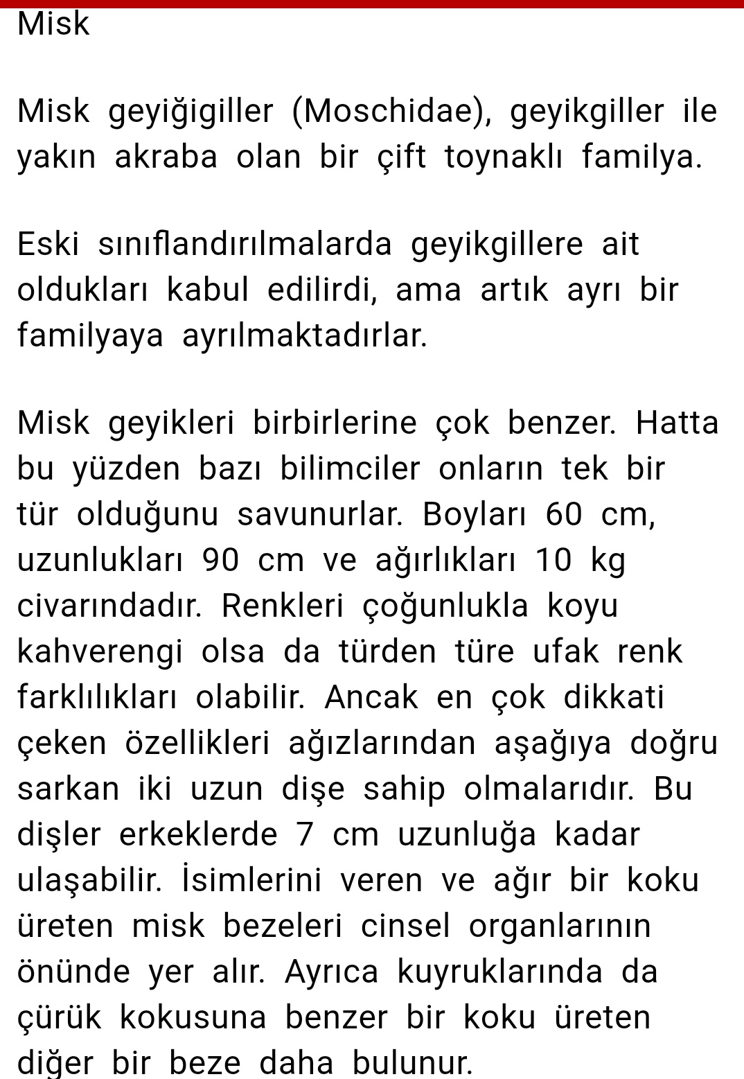 Misk geyiğinin özellikleri Misk geyiği nerelerde yaşar?