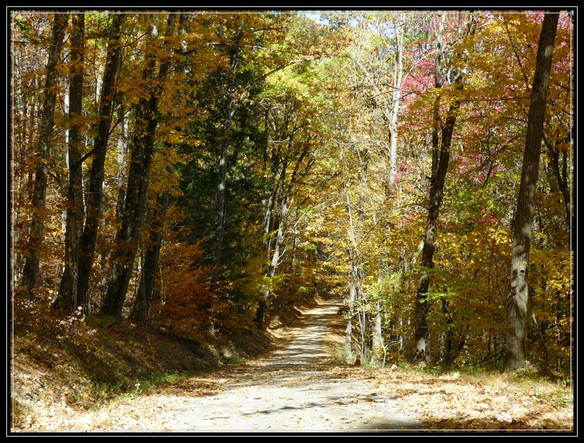 Little Brook Farm Where It's All About Second Chances Life As I See It