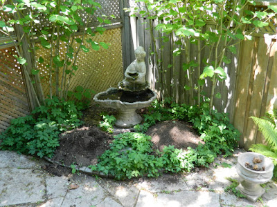 Ravina Crescent back garden renovation before Paul Jung Gardening Services Toronto